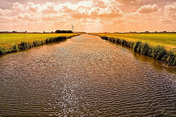Kanal, Sonnenlicht, Windmühle, Weide, funkeln, Natur, Wasser