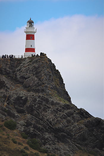 lighthouse, light Tower, coast Guard, coastline, sea, cape Palliser, new Zealand, coast, architecture, nautical, beacon
