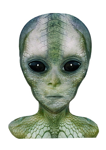 mimozemšťan, plaz, fantazie, tvář, ještěrka, mimozemský, portrét, humanoid, futuristický, sci-fi, Věda
