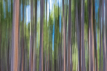 abstract trees, motion blur, colorful vertical pattern, artistic background, abstract image, tree trunks, vibrant colors, nature art, forest abstract, vertical lines, dynamic motion