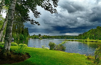 landscape, nature, sky, trees, summer, clouds, the Water, lake, light, scenic, environment