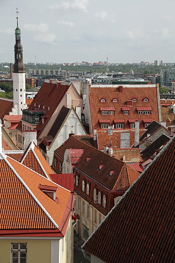 střechy, Pohled, architektura, budov, tallinn, Estonsko