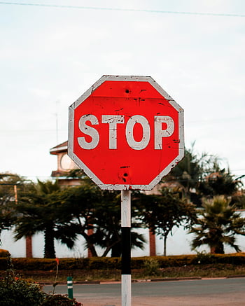 Stop-merkki, punainen stop-merkki, kaupungin katu, Puut, rakennukset, kaupunkiympäristössä, liikennemerkki, ulkona, katumerkki, pysäytyssignaali