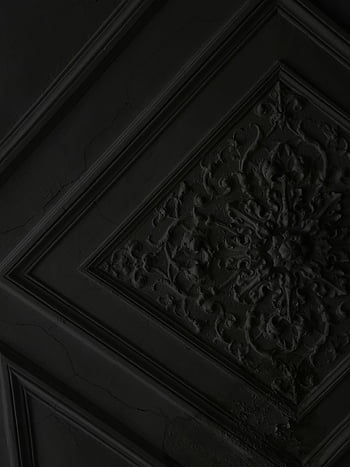 Tmavý strop, ozdobený strop, složité vzory, Podrobný strop, stropní ozdoba, stropní textura, dekorativní strop, stropní konstrukce, detaily stropu, stropní umění, stropní vzory
