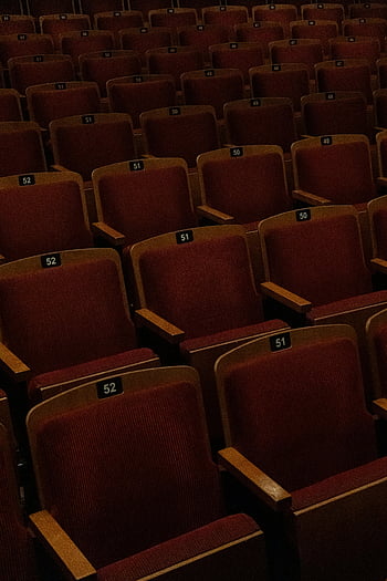 křesla kina, Red Theatre sedadla, prázdné hlediště, řady sedadel, divadelní sezení, očíslovaná sedadla, kina, sezení hlediště, hlediště kina, Red Cinema Seats, divadelní židle