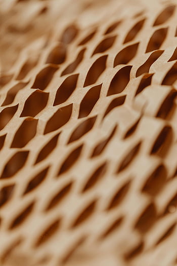 paper filling, honeycomb texture, cardboard pattern, intricate design, detailed view, close-up, texture, honeycomb, cardboard, design, pattern
