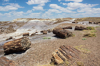 desert, painted Desert, arizona, arizona Landscape, petrified Trees, petrified Forest, united States, badlands, scenery, landscape, the Painted Desert