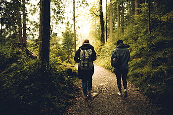 forest path, two people walking, lush greenery, tall trees, friends hiking, outdoor adventure, nature walk, backpackers, serene forest, woodland scenery, hiking trail