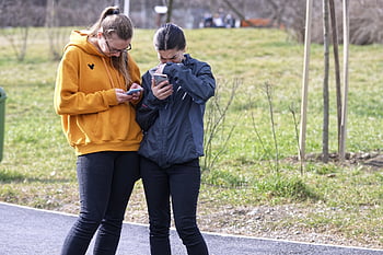 girls, young, people, cell Phones, alley, park, winter, nature, trees, plants, sun