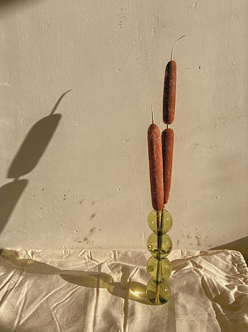 cattails, green glass vase, minimalist composition, sunlight shadows, shabby wall, reeds in vase, natural light, still life, decorative arrangement, indoor plants, artistic photography