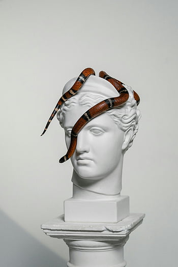 snake, gypsum head, classical statue, vibrant snake, coiled snake, art and nature, sculpture, white background, artistic composition, snake art, gypsum sculpture