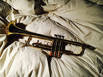 gold trumpet, white cloth, brass trumpet, soft comforter, warm natural light, textured white, classic trumpet, resting trumpet, musical instrument, white fabric, bedspread