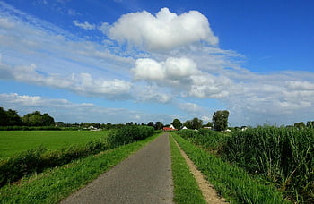 holländsk landsbygd, lantlig, väg, säv, gräs, äng, bondgård, blå himmel, natur, moln, solig dag