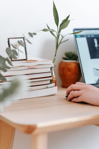 vzdálené práce, domácí kancelář, laptop, lavice, knih, rostlin, Útulné nastavení, studie, práce z domova, pokojové rostliny, pracovního prostoru