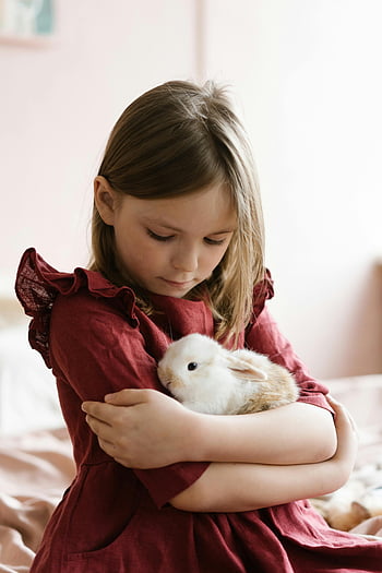 young girl, hugging rabbit, fluffy rabbit, indoor photo, moment of tenderness, lovingly holds, young girl holding rabbit, fluffy bunny, tender moment, indoor scene, child with pet