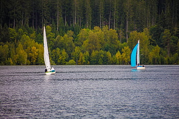 jezioro, żaglówka, sport, łodzie, łódka, zawody, Natura, krajobraz