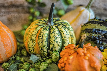 pumpkin, halloween, fall, texture, vegetables, basket, raw, harvest, fresh, thanksgiving, october
