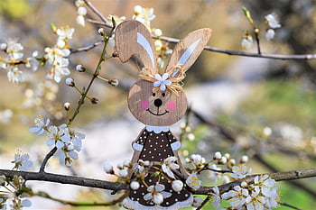coniglio, Pasqua, giocattolo, deco, primavera, fiore, bellissimi fiori, coniglietto di Pasqua, viola, carta da parati floreale, inizio primavera
