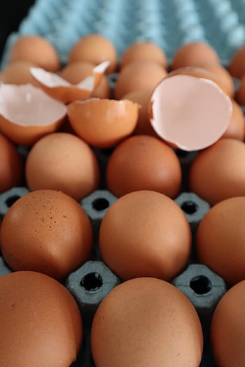 vejce, kalíšek na vajíčka, lepenky, shell, koloniál, čerstvý, vinobraní, přísada, protein, zdravý, vápník