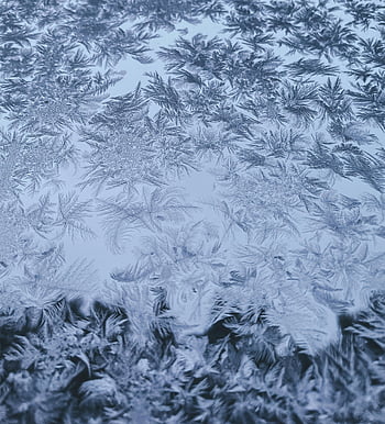 frost patterns, ice crystals, glass surface, abstract view, winter scene, frosty window, intricate designs, cold weather, frozen patterns, winter art, frost art
