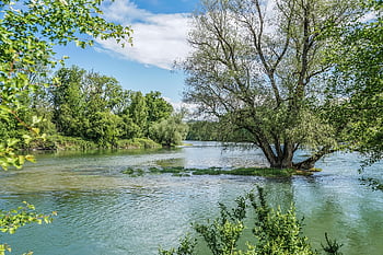 tok, voda, Příroda, krajina, stromy, přestěhovat se, ostrov, scénický, nebe, relaxace, modrý