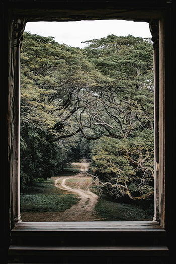 forest path, ancient window, serene view, winding path, framed view, Cambodia, ancient architecture, natural scenery, tree-lined path, tranquil scene, outdoor landscape