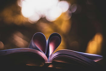 srdce knihy umění, bokeh fotografie, Stránky ve tvaru srdce, teplé osvětlení, romantická témata, otevřená kniha, bokeh efekt, srdce umění, knihy umění, Romantické umění, Srdeční stránky