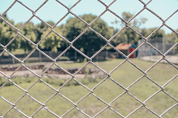 phone, knitting, prison, cage, freedom, green, nature
