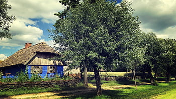 muzeum, skanzen, Polsko, srpen, chalupa, vesnice, starý, historicky
