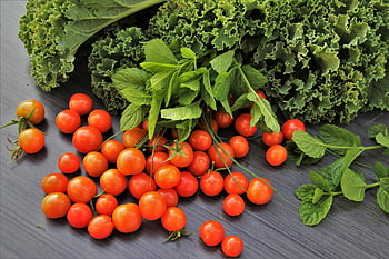 cherry rajčata, listový salát, bazalka, salát, čerstvý, organický, výživa, zelenina, vegetariánský, jídlo, vitamíny