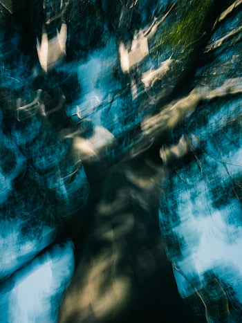 bulanık ağaç, yakın çekim ağacı, soyut resim, sanatsal fotoğraf, doğa ortamı, bulanık doğa, ağaç fotoğrafçılığı, soyut ağaç, sanatsal doğa, bulanık fotoğrafçılık, doğa sanatı