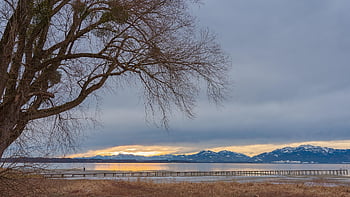 lac, copaci, dig, Boardwalk, munţi, copaci goi, bancă, panoramă, natură, apă, peisaj