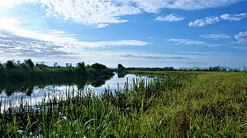 kanal, vand, flod, flodmunding, græs, græsarealer, Mark, eng, skyer, holland, naturreservat
