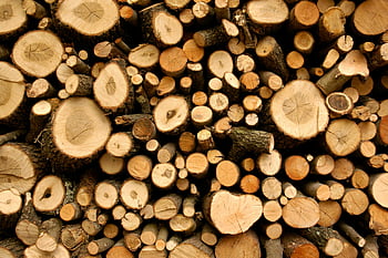 firewood lot, neatly stacked firewood, natural cut firewood, rustic themes, environmental concepts, woodpile, chopped wood, outdoor firewood, sustainable wood, eco-friendly firewood, wood logs