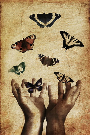 butterflies illustration, seven butterflies, hands with butterflies, vintage background, butterfly art, nature illustration, artistic butterflies, butterfly design, hand art, butterfly collection, butterfly image