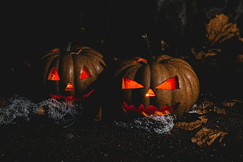 Haloweenská dýně, lampy, děsivý, zářící oči, strašidelné výrazy, temná noc, předvečer Všech svatých, vyřezávané dýně, podzim, slavnostní, dekorace