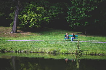 Paar auf der Bank, Friedlicher Park, in der Nähe von See, zwei Menschen, auf der Bank sitzen, Parkeinstellung, grünes Gras, Bäume, Wasserreflexion, Gelassene Umgebung, Outdoor-Szene