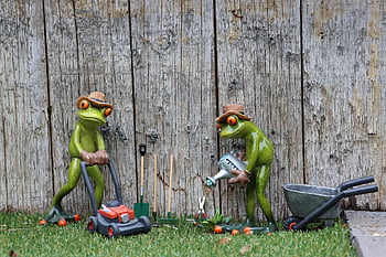 gardener, gardening, garden, casting, watering Can, lawn, lawn Mower, spade, gardening Team, garden Professionals, professionals