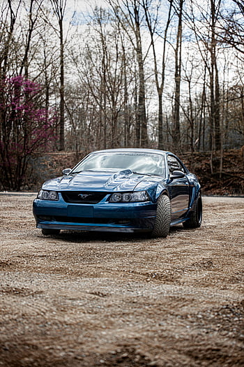 modré lesklé auto, ford mustang, zaparkováno, štěrk, zalesněné oblasti, Holé stromy, modré auto, lesklé auto, bezlisté stromy, brod, mustang