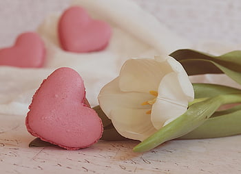 macaron, heart, pastry, tulip, heart Macaron, pink Macaron, love, french Pastry, french Macaroon, meringue, cookie