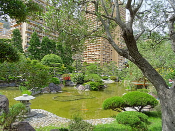 giardino giapponese, stagno, alberi, natura, monaco, tranquillo, hdr, principato, Monte Carlo, verdura, giochi d'acqua