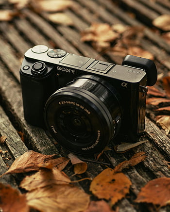 Sony camera, digital camera, close-up photo, wooden bench, autumn leaves, photography themes, camera lens, outdoor photography, Sony Alpha, camera equipment, fall season