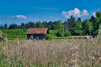 grange de champ, Grange, pellicules, agriculture, la nature, cabane en bois, Chiemgau, la bavière, Toit en tuiles, Scheuer, champ