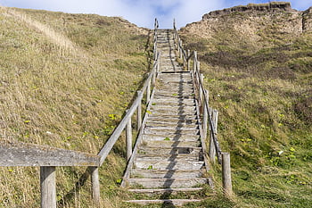 denmark, stairs, sand Dunes, north Sea, nature