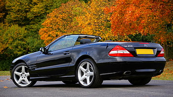 Black Mercedes Benz, mobil convertible, lantai beton abu-abu, mobil mewah, dedaunan musim gugur yang semarak, parkir luar ruangan, convertible hitam, Mercedes Benz Convertible, dedaunan musim gugur, eksterior mobil, adegan di luar ruangan
