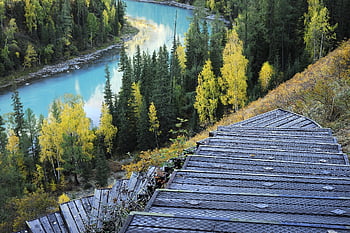 kanas, sanctuary Cove, steps, nature, stairs, lake, mountain, forest, morning, sunshine, autumn