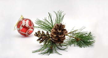 Vánoce, vánoční motiv, vánoční koule, Vánoční čas, vánoční pozdravy, sezóna, Adventní období, příchod, vánoční dekorace, šišky, vánoční pozdrav