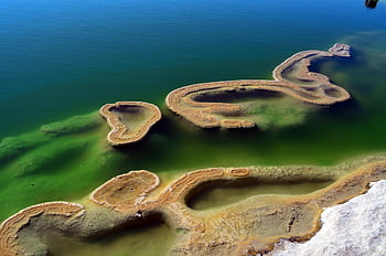 hiervé el agua, oaxaca, Mexiko, strom, agua, azul, modrý, Příroda