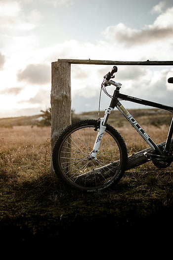 bicicletta, parcheggiata, recinto, campagna, campo, Mountain bike, post in legno, autunno, prato, all'aperto, natura
