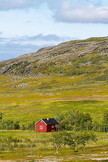 cottage, house, architecture, building, lapland, norway, mountain In Lapland, tundra, lonely